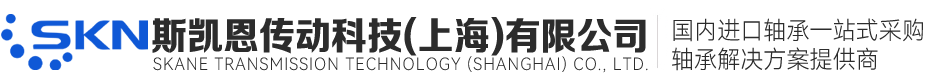 斯凱恩傳動(dòng)科技（上海）有限公司